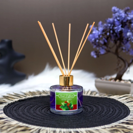 Diffuseur d’arôme à bâtonnets parfumés, baies d’hiver, 100 ml