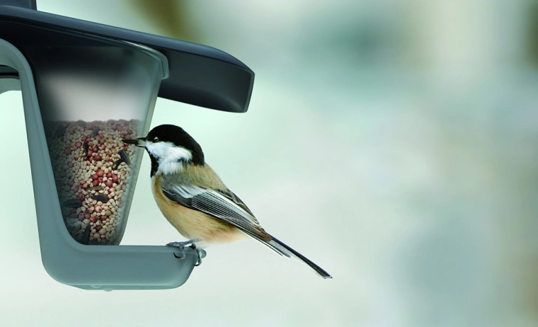 Nourriture au sec grâce au toit incliné