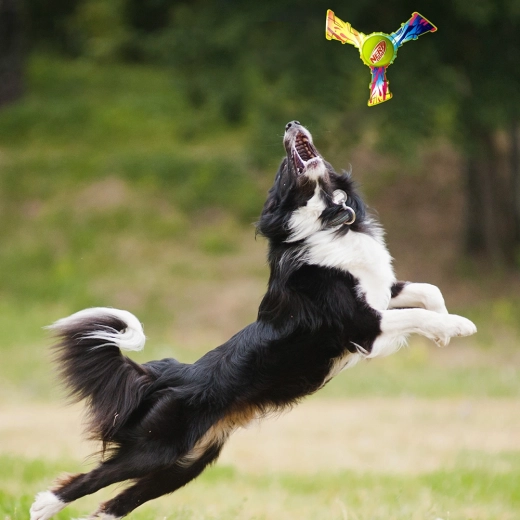 Jeu extérieur amusant et rapport