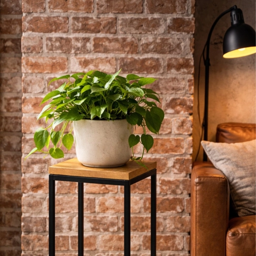 Hauteur de 63 cm pour une meilleure mise en valeur des plantes