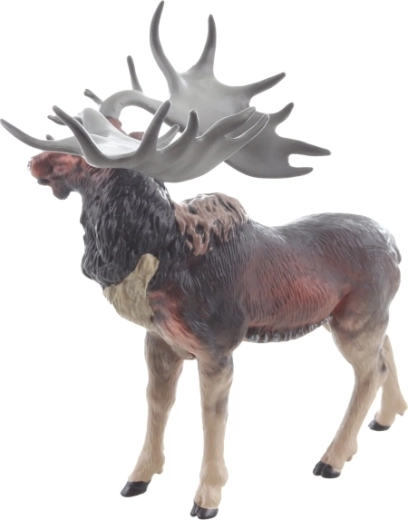 Position stable et dimensions sûres