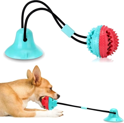 Nettoyage des dents et massage des gencives