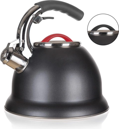 Bouilloire sifflante en acier inoxydable ADVANTAGE 2,7 l