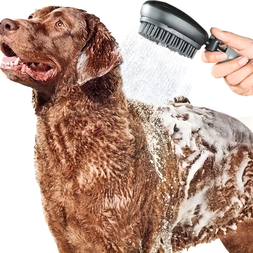 Douche et brosse 2-en-1 pour un lavage rapide et doux