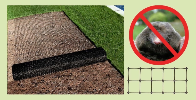 Barrière efficace contre les taupes