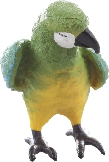 Idéal pour l’apprentissage et la collection