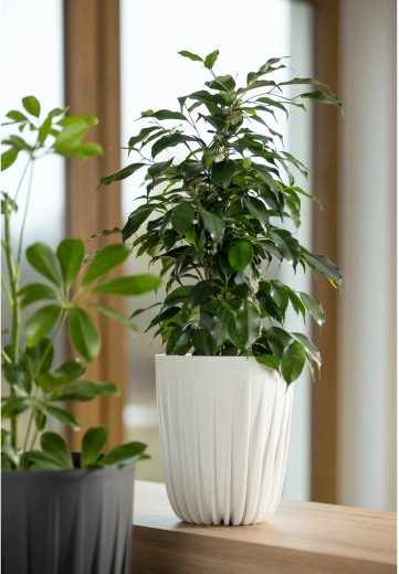 Léger, résistant et prêt pour l’extérieur