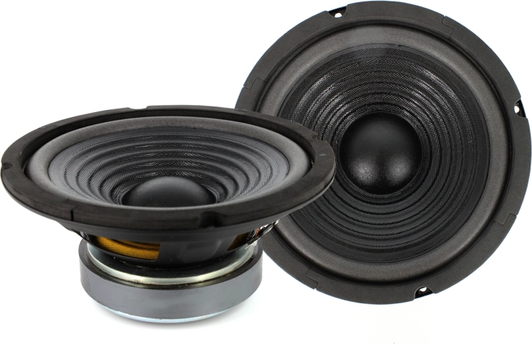 Haut-parleur HSP 8″ / 200 mm