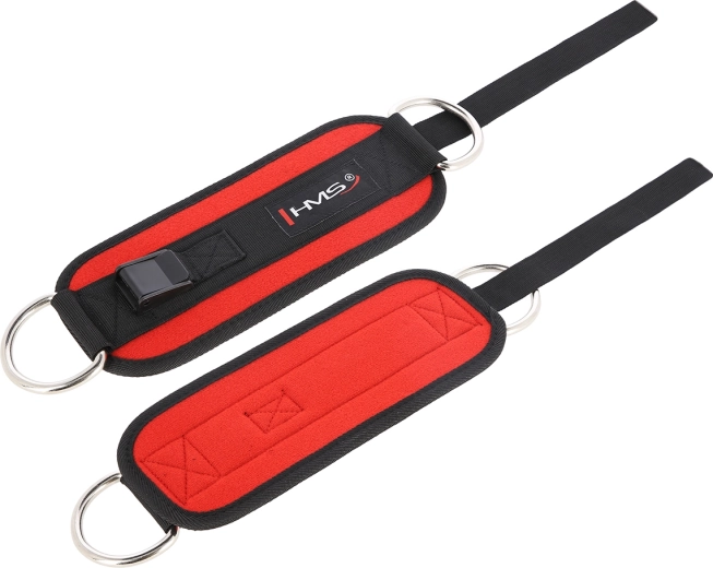 Anneaux en D en acier robustes