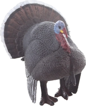 Détails réalistes pour des expériences authentiques