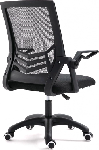 Soutien ergonomique du dos
