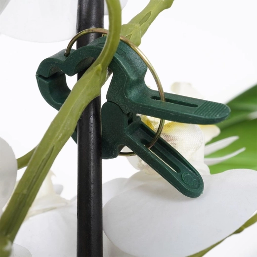 Fixation rapide et délicate