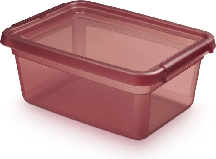 BASESTORE boîte de rangement en plastique avec couvercle et clips latéraux 12,5 l Rhubarb