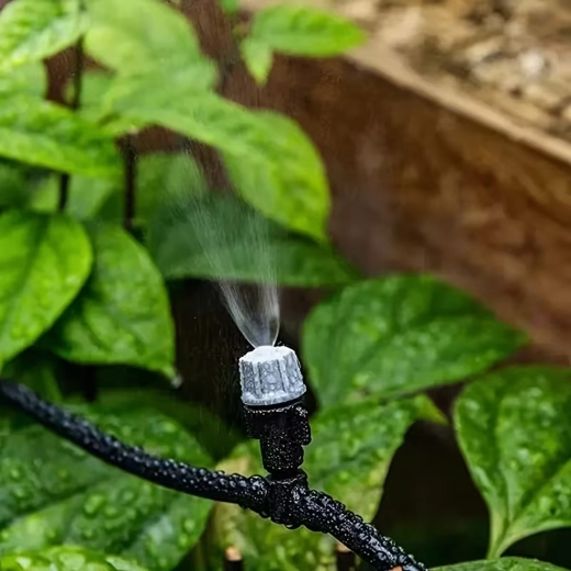 Brume fine pour un arrosage homogène et le rafraîchissement