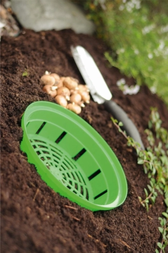 Retrait et repiquage faciles