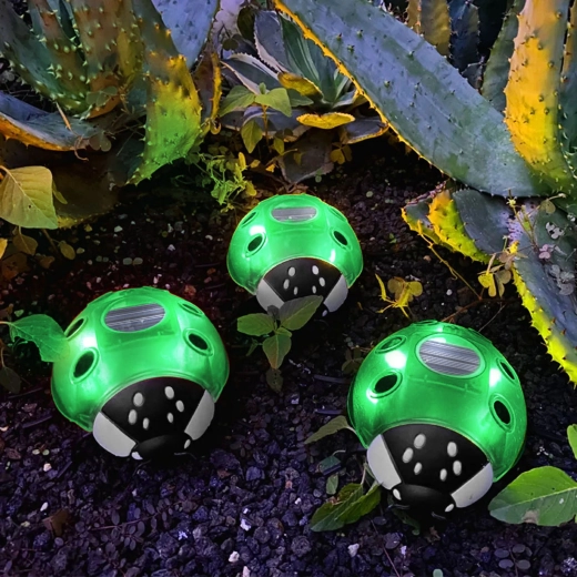 Lampe LED solaire coccinelle verte avec 6 LED blanc chaud
