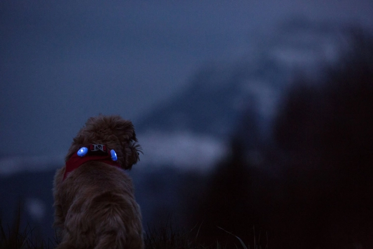 Lumière LED puissante pour une excellente visibilité