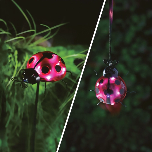Lampe LED solaire coccinelle pour le jardin, à planter ou avec clip, rouge