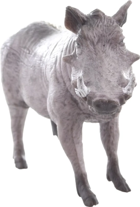 Idéale pour l’apprentissage et la collection