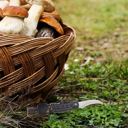 Brosse intégrée et règle 1–5 cm