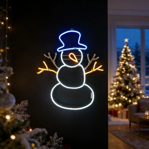 Néon LED multicolore remarquable