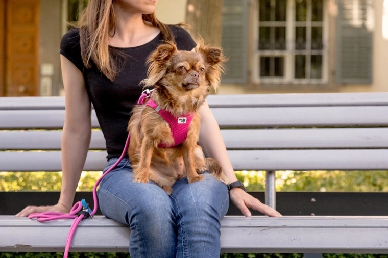 Détails pratiques : anneau pour accessoires et distributeur de sacs