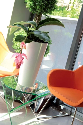 Accessoire élégant pour les plantes