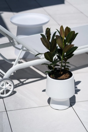 Design minimaliste élégant