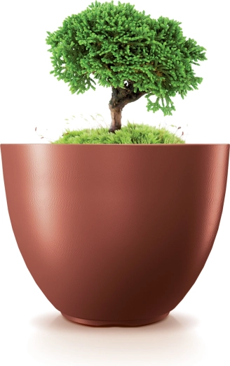 Idéal pour plantes d’intérieur et d’extérieur