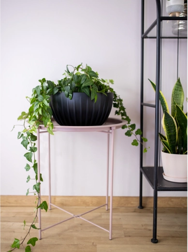 Design nervuré et élégant