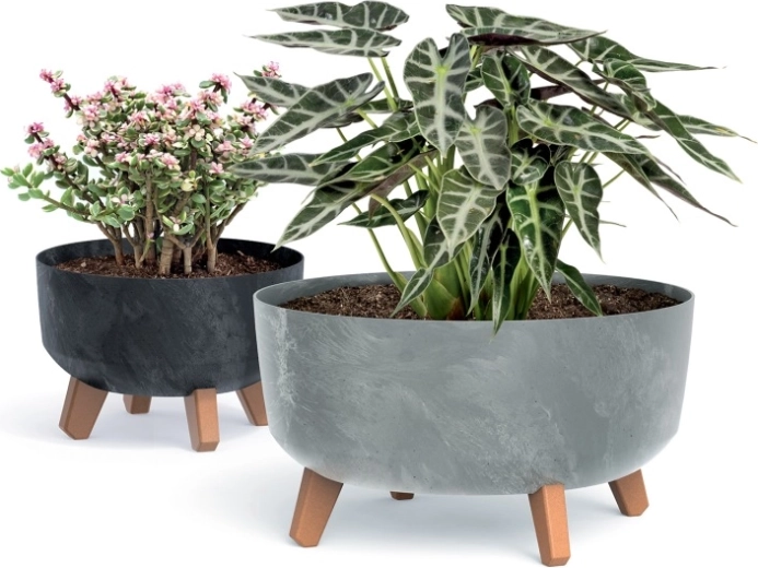 Pieds stables à décor bois