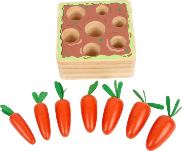 Sept carottes de différentes tailles