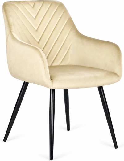 Revêtement en velours pour un intérieur élégant