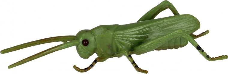 Matériau résistant pour un jeu quotidien