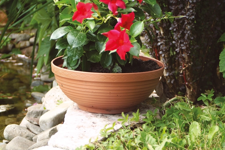 Prête pour l’extérieur