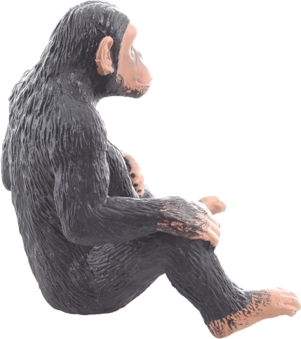 Parfaite pour l’apprentissage et la créativité