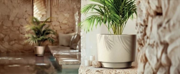 Espace suffisant pour la croissance