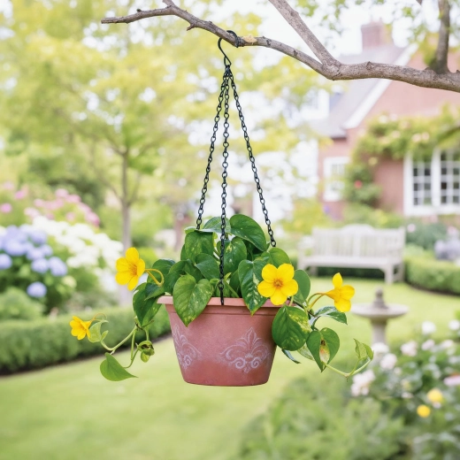 Longueur idéale pour les plantes suspendues