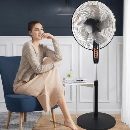 Oscillation pour une circulation homogène