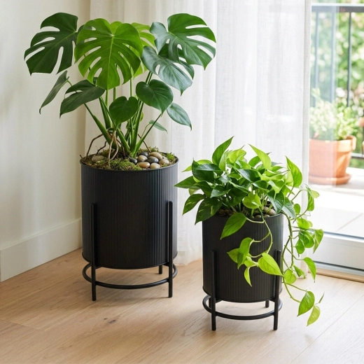 Design cannelé et surélévation stable des plantes