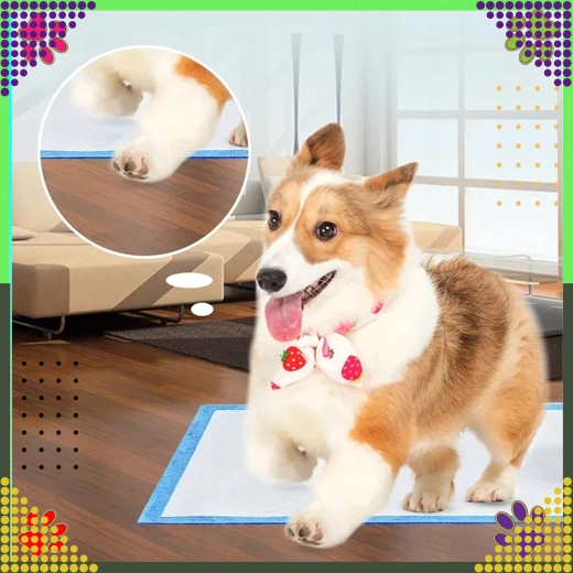 Confort pour chiots et chiens âgés