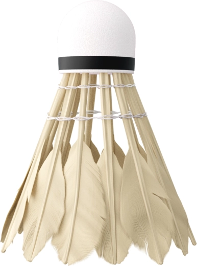 Vol stable et rapide grâce aux plumes de canard