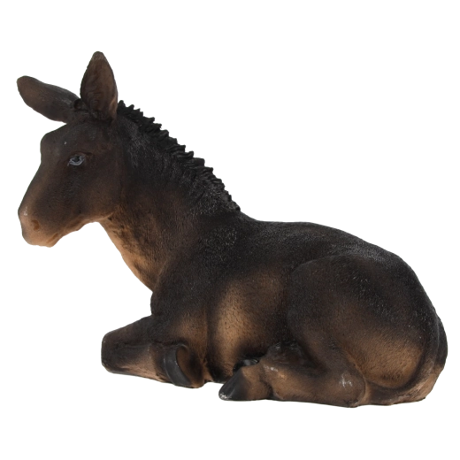 Détails réalistes et couleurs naturelles