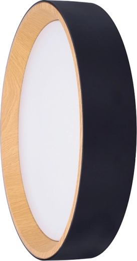 Design moderne noir avec décor bois