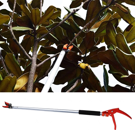 Coupe facile en hauteur sans échelle