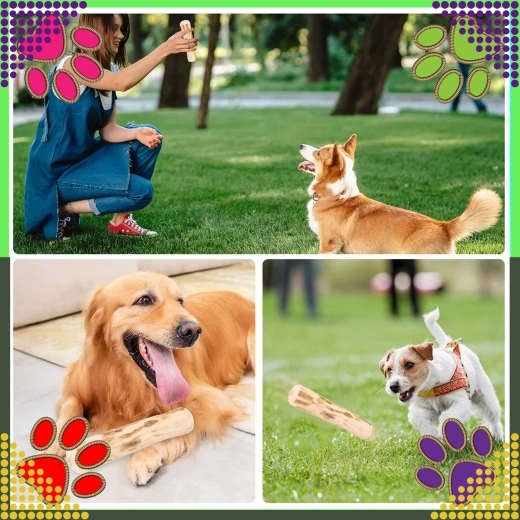 Amusement pour mâcher et rapporter