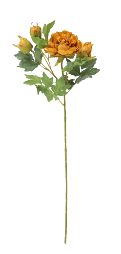 Tige flexible pour l’arrangement