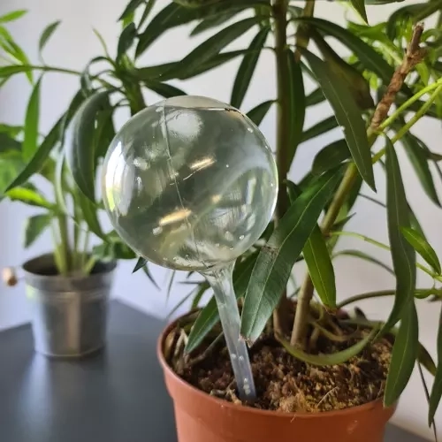 Utilisation polyvalente pour la maison et le jardin