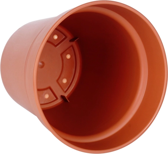 Forme étudiée pour des plantes en bonne santé