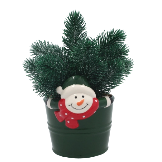 Aspect hivernal réaliste sans entretien